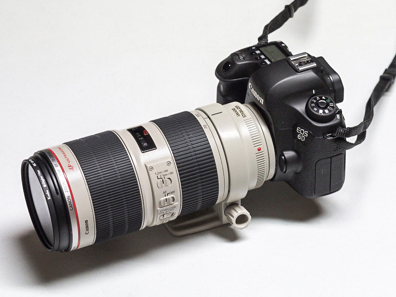 Photographe coronavirus